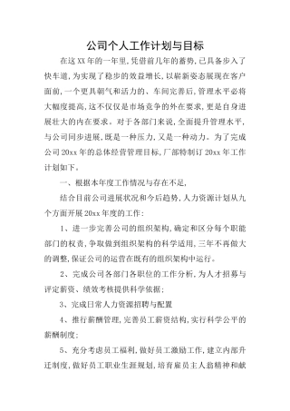 公司个人工作计划与目标