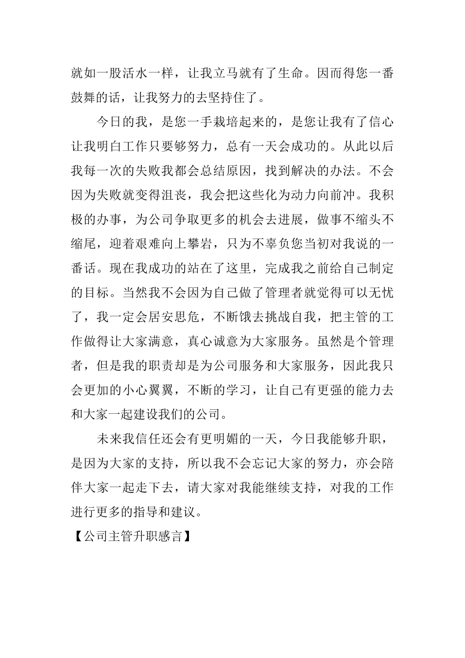 公司主管升职感言_第2页