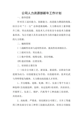 公司人力资源部新年工作计划