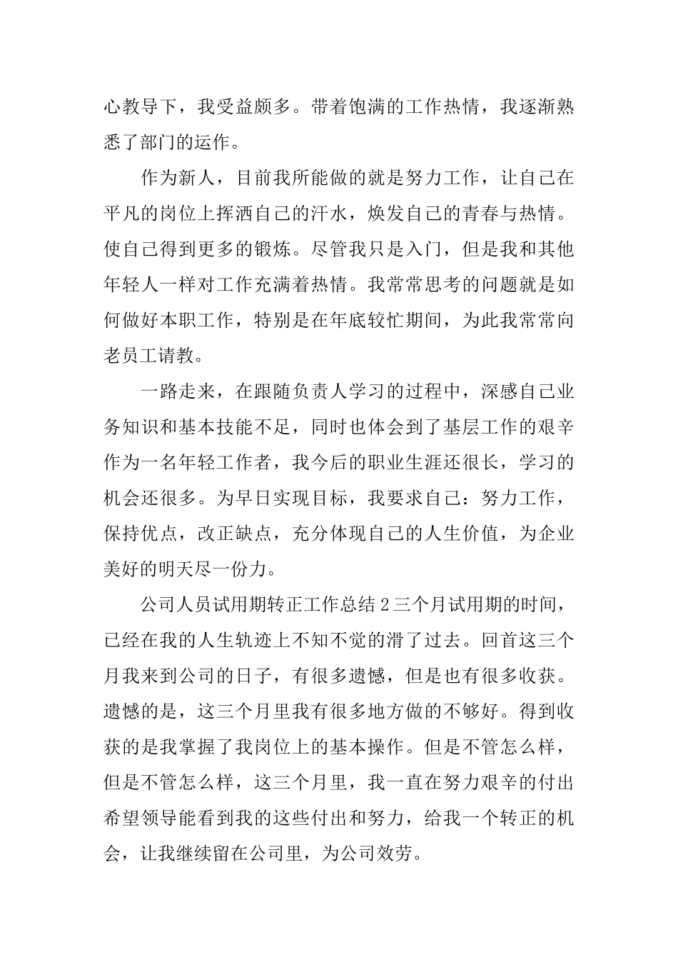 公司人员试用期转正工作总结_第2页