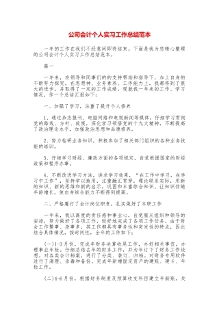 公司会计个人实习工作总结范本