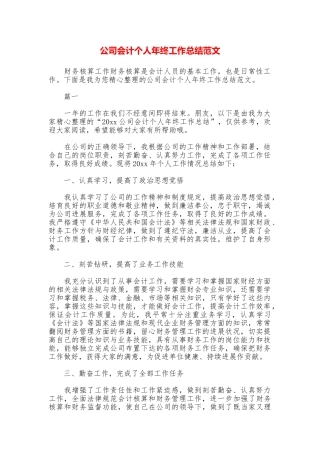 公司会计个人年终工作总结范文