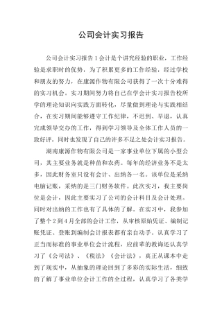公司会计实习报告