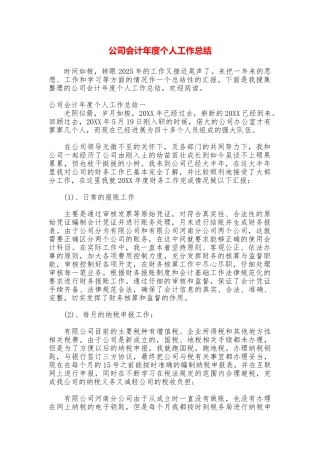 公司会计年度个人工作总结
