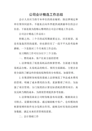 公司会计精选工作总结