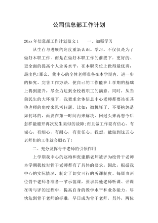 公司信息部工作计划