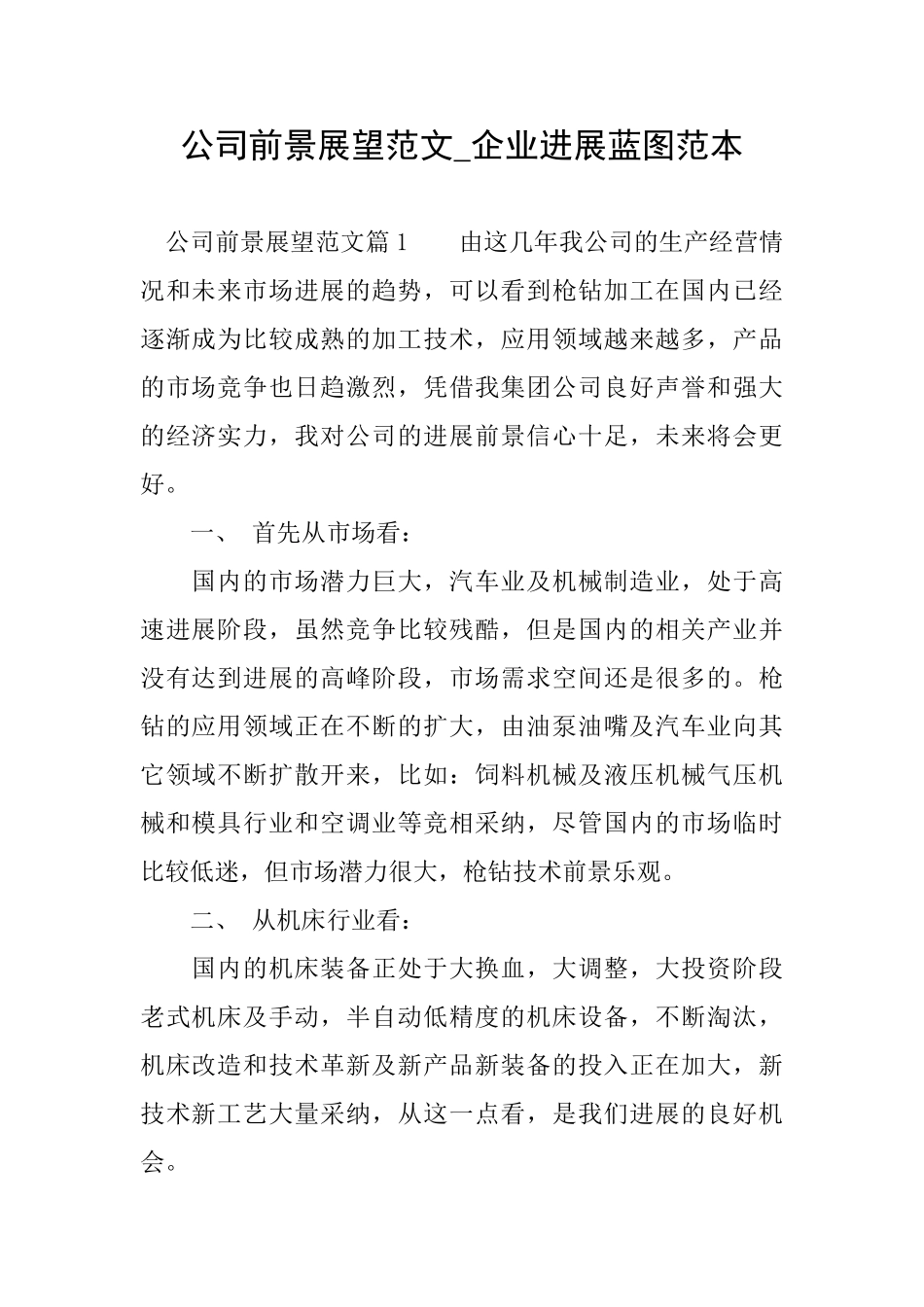公司前景展望范文企业发展蓝图范本_第1页