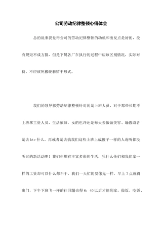 公司劳动纪律整顿心得体会