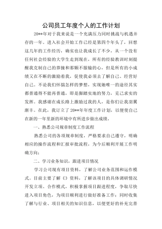 公司员工年度个人的工作计划