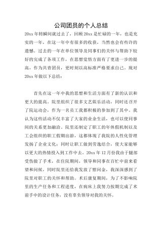 公司团员的个人总结