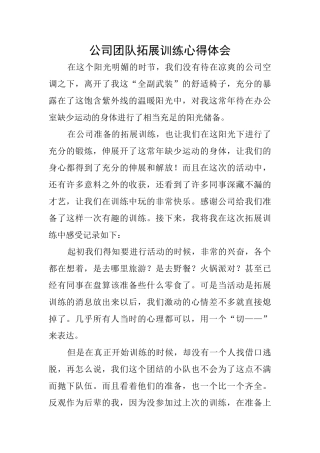 公司团队拓展训练心得体会