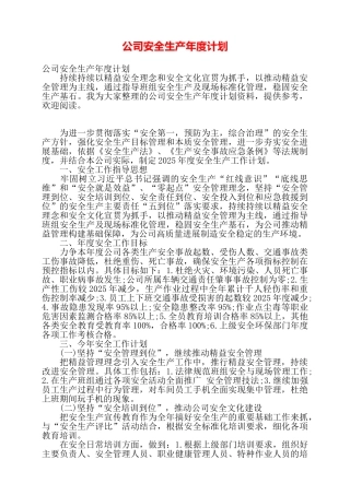 公司安全生产年度计划——