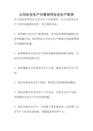 公司安全生产分管领导安全生产职责
