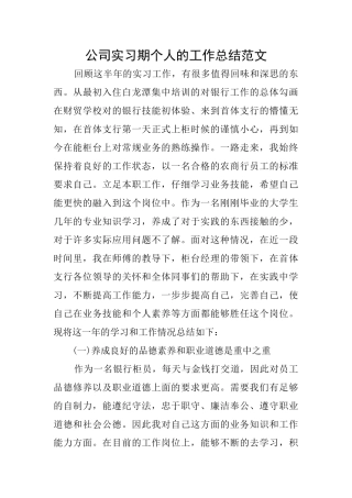 公司实习期个人的工作总结范文
