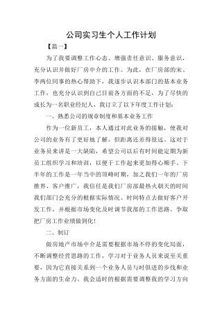 公司实习生个人工作计划