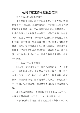 公司年度工作总结报告范例