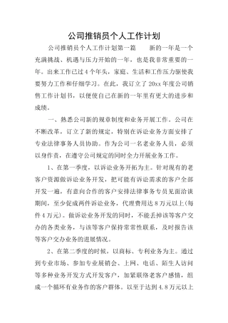 公司推销员个人工作计划