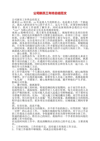 公司新员工年终总结范文——