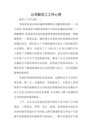 公司新员工工作心得
