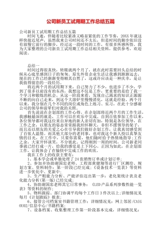 公司新员工试用期工作总结五篇——