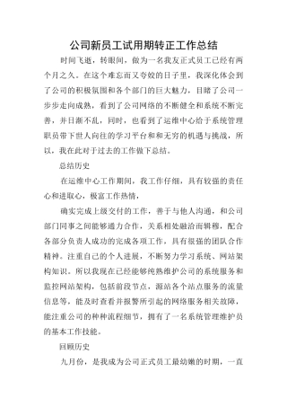 公司新员工试用期转正工作总结