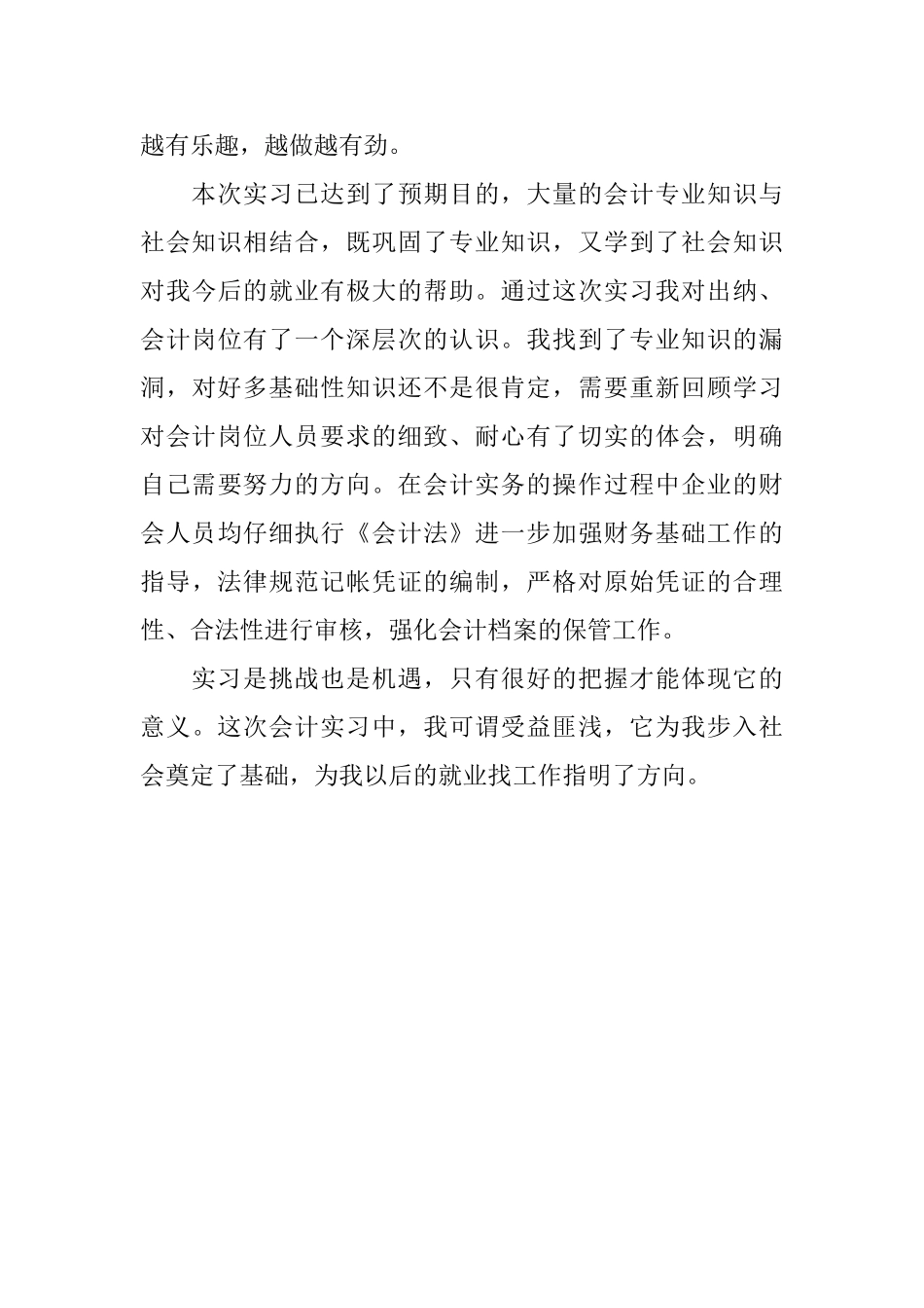 公司电算会计师实习自我鉴定_第3页