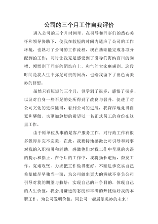 公司的三个月工作自我评价