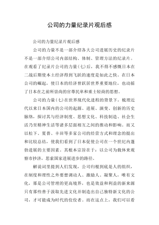 公司的力量纪录片观后感