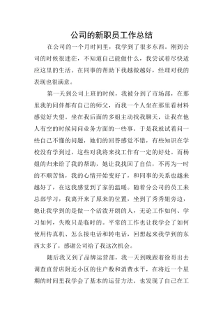 公司的新职员工作总结