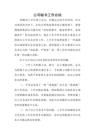 公司秘书工作总结