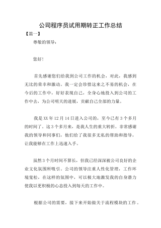 公司程序员试用期转正工作总结