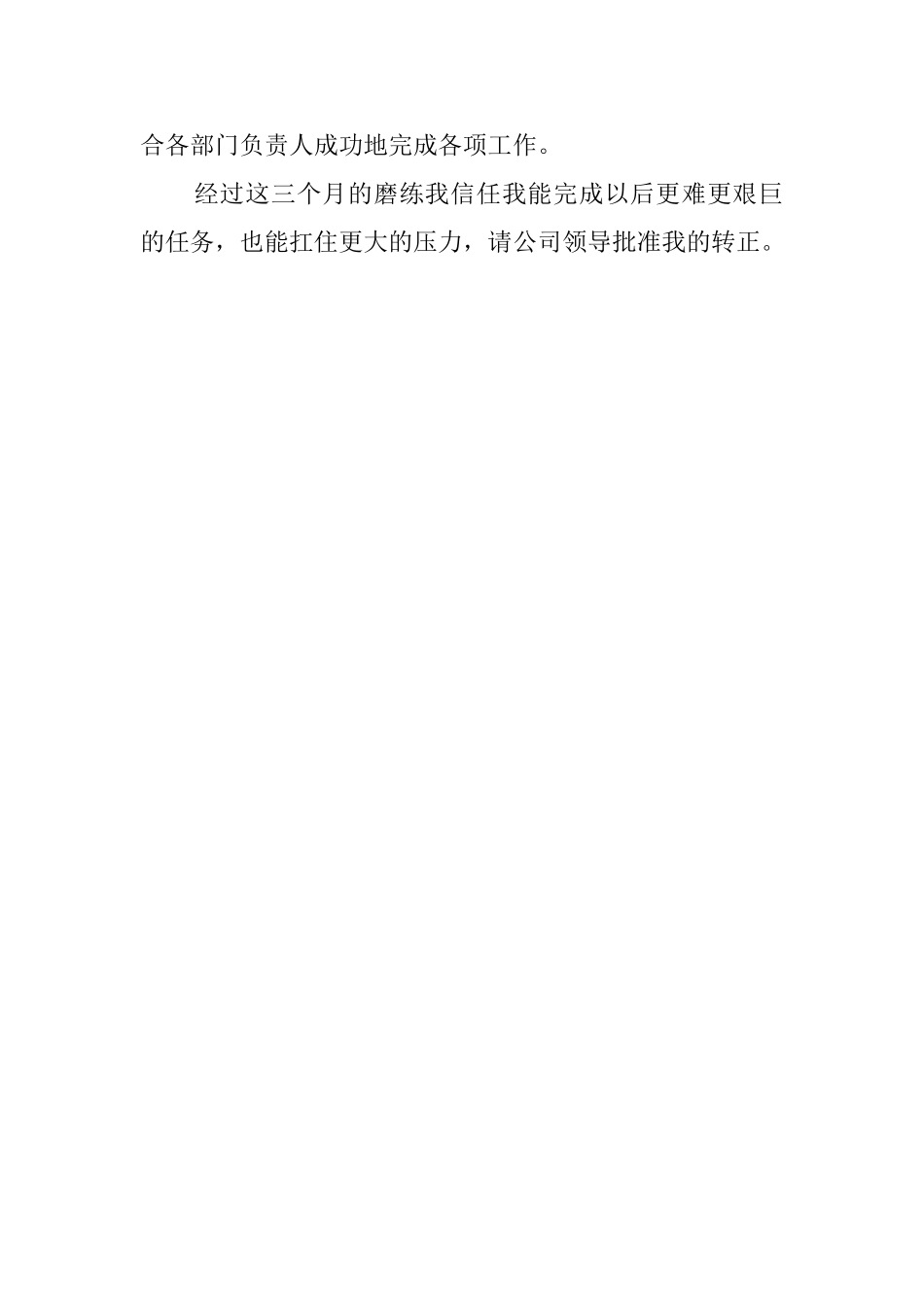 公司职员转正自我鉴定范文_第2页