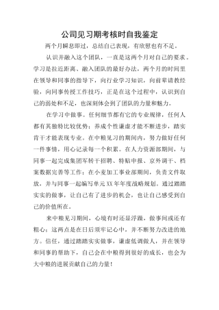 公司见习期考核时自我鉴定