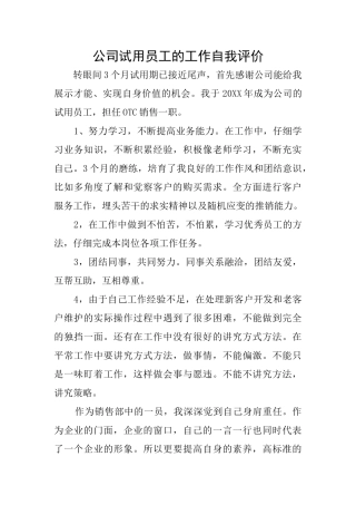 公司试用员工的工作自我评价