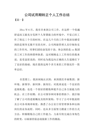 公司试用期转正个人工作总结
