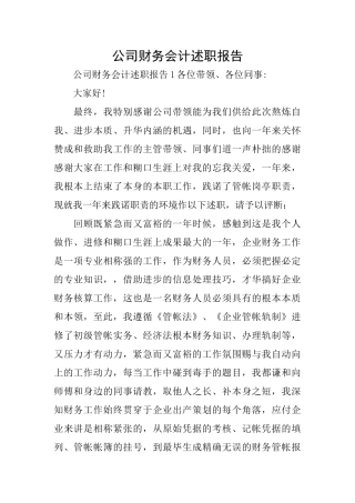 公司财务会计述职报告