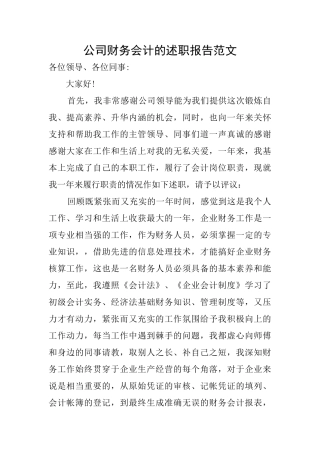 公司财务会计的述职报告范文