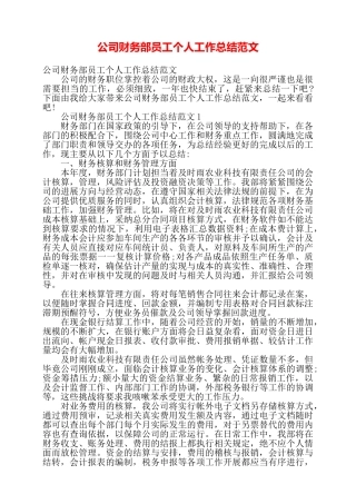 公司财务部员工个人工作总结范文——