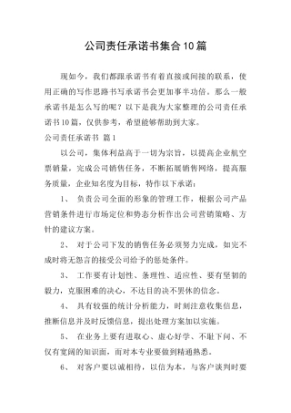 公司责任承诺书集合10篇