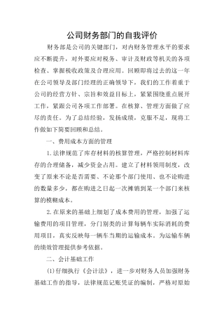 公司财务部门的自我评价