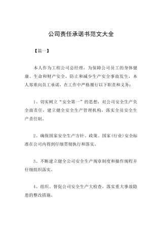 公司责任承诺书范文大全
