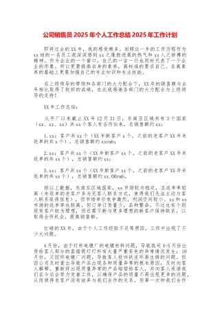 公司销售员2025年个人工作总结2025年工作计划