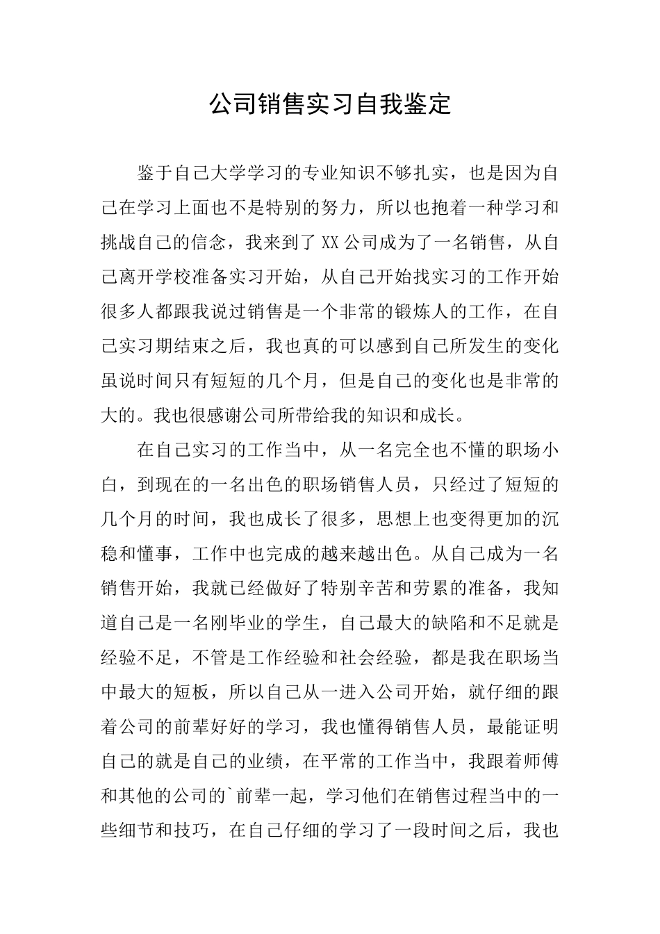 公司销售实习自我鉴定_第1页