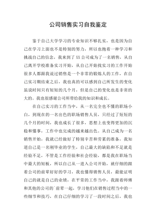 公司销售实习自我鉴定