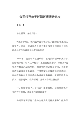 公司领导班子述职述廉报告范文