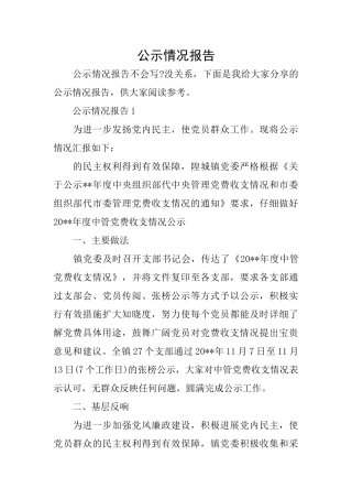 公示情况报告