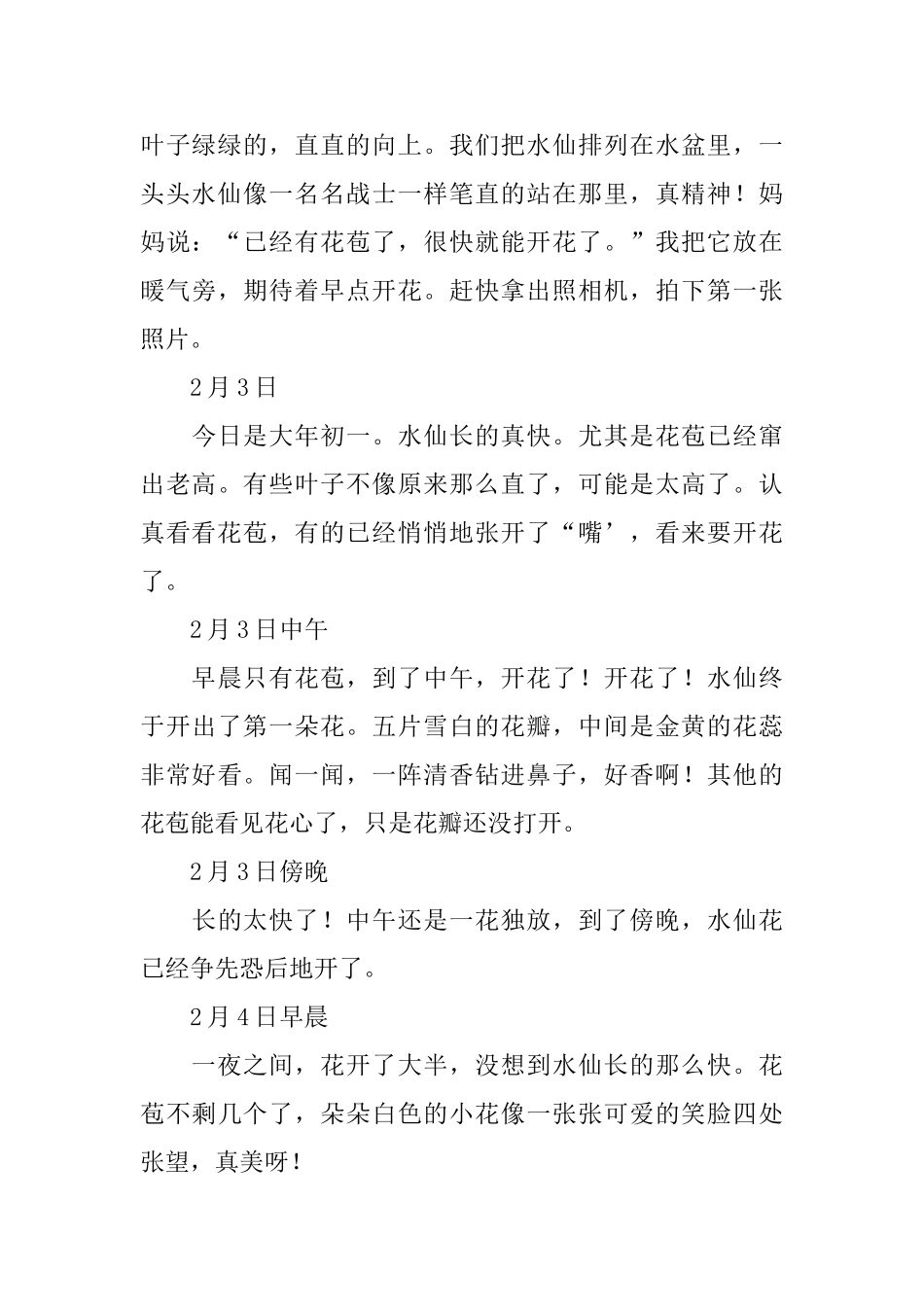 六年级观察日记草_第3页