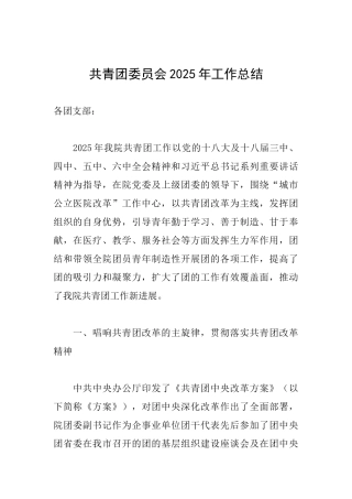 共青团委员会2025年工作总结