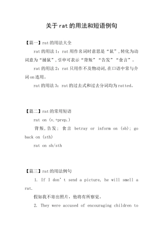 关于rat的用法和短语例句