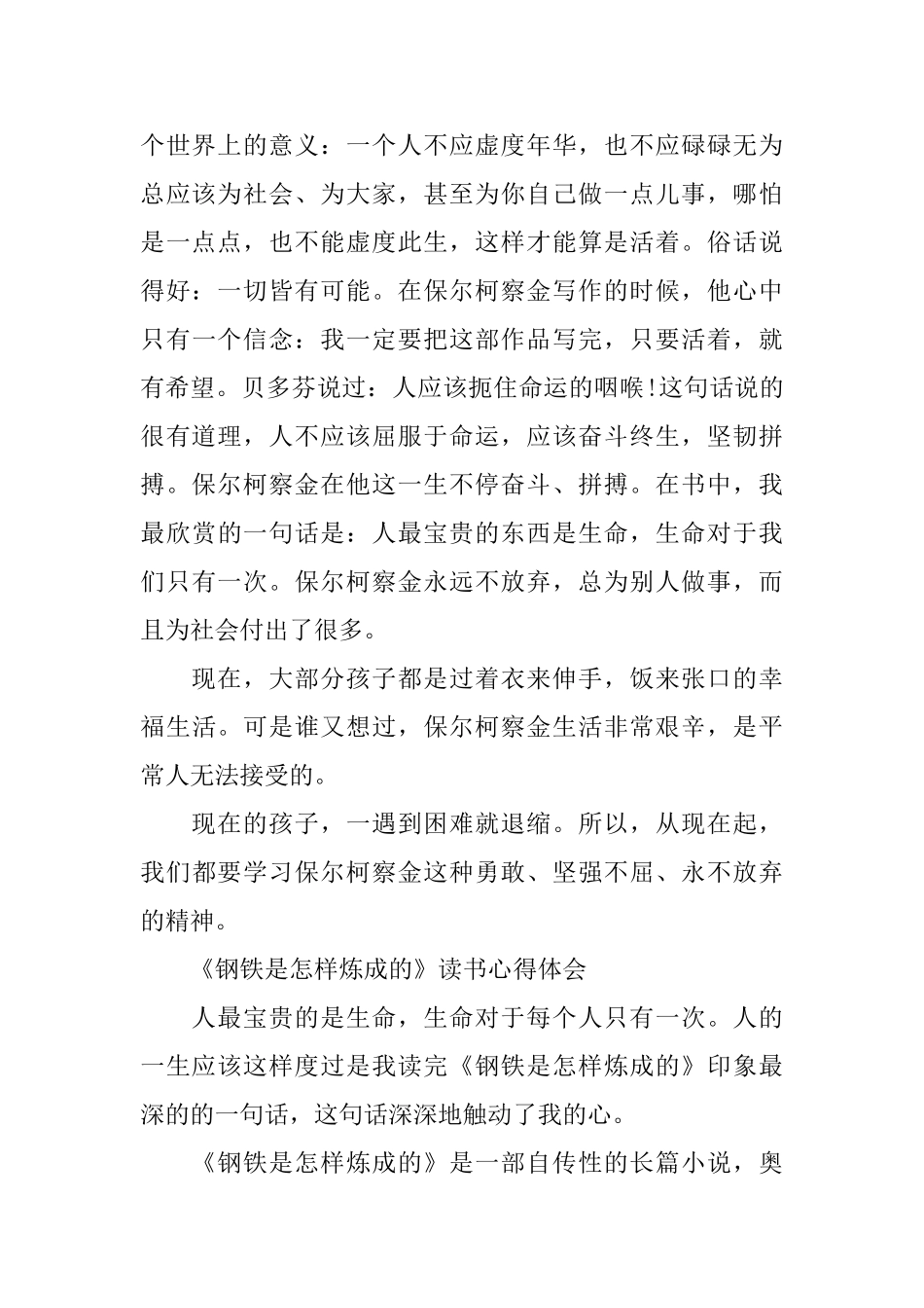 关于《钢铁是怎样炼成的》读书心得7篇_第2页